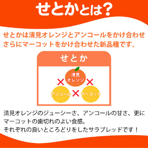 とろける食感 ジューシー柑橘 せとか 約2.5kg みかん 蜜柑 柑橘 オレンジ 果物 フルーツ 国産 和歌山県広川町 【2027年1月下旬頃〜2027年2月上旬頃発送】【Z-uot789】