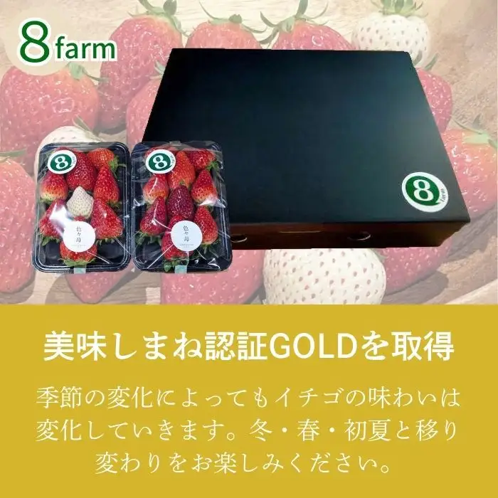 【先行予約】「色々苺」品種盛り合わせパック 品種かわかるメモ付【食べ比べ いちご 約290g×2パック 苺 冷蔵 安来】【13-FA-01】