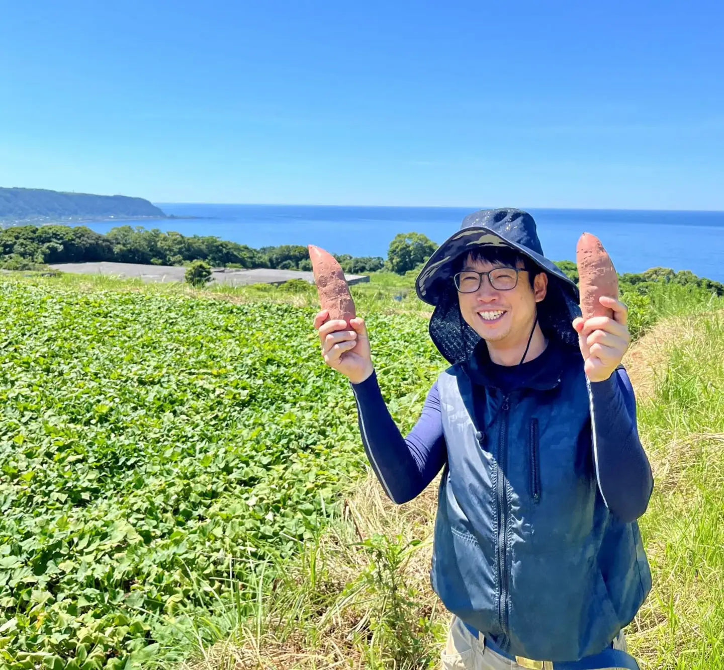 スイートポテト　キントキとバター（アソートBOX）