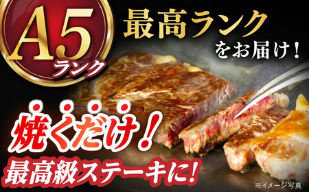 2種 長崎和牛 A5 ミニステーキセット 約400g サーロインステーキ モモステーキ [DAR047] 牛肉 焼肉 ステーキ 