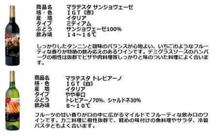 FD339 福智山ダム熟成 肉＆魚介料理6選と飲みたい赤＆白＆SPワイン 6本詰め合わせセット熟成ワイン ワイン 酒 お酒