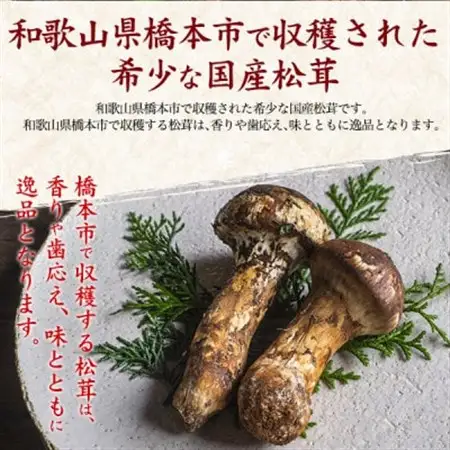 国産　天然高野松茸　約200g  2026年出荷_野菜 松茸 きのこ まつたけ マツタケ_【配送不可地域：離島・北海道・沖縄県】【1601023】