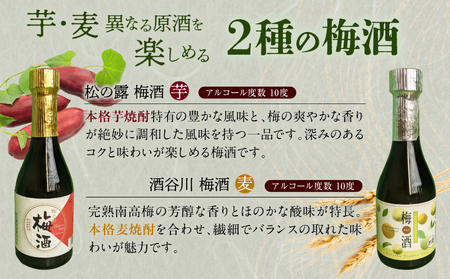 にちなん 焼酎 飲み比べ ミニボトル セット 合計5本 アルコール 国産 お酒 地酒 晩酌 芋焼酎 麦焼酎 梅酒 飲料 宅呑み 家呑み 宅飲み 希少 ロック 水割り お湯割り ソーダ割 人気 おすすめ 詰め合わせ 贈り物 ギフト 贈答 プレゼント 宮崎県 送料無料_C136-24