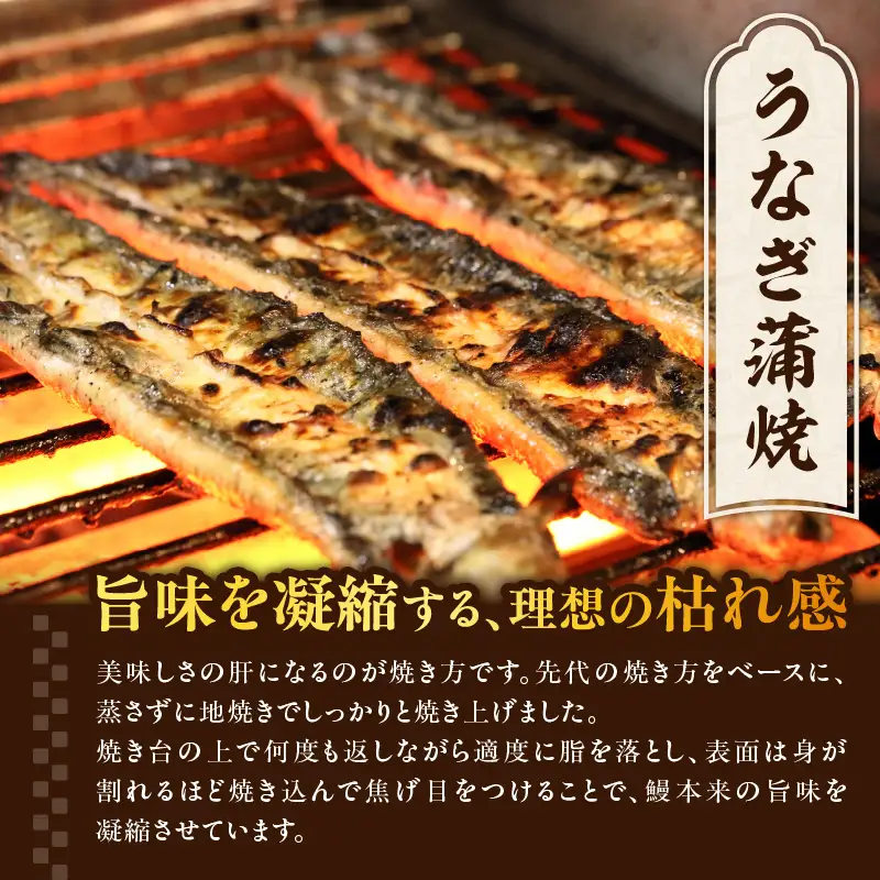 うなぎ料理入舟 蒲焼3尾＋鰻山椒煮 E07007