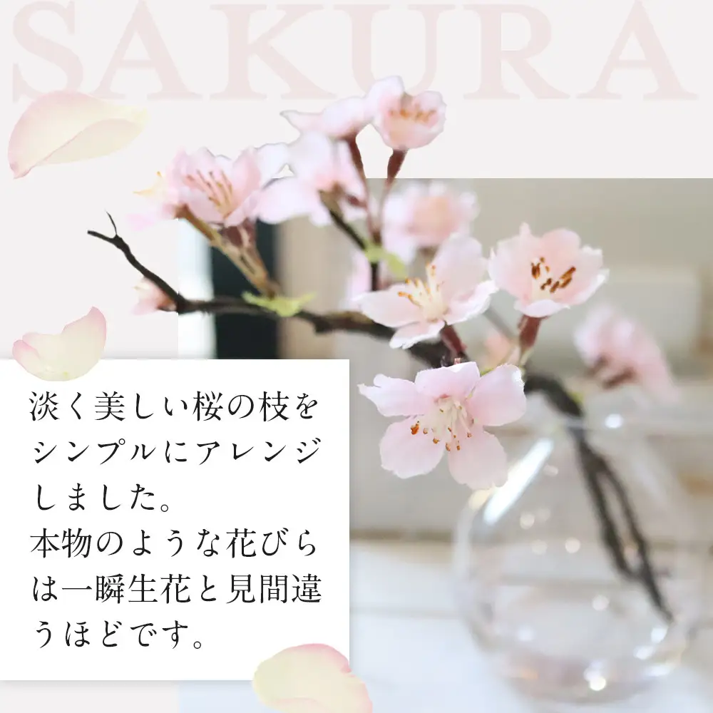 新春　淡雪桜　さくら　魔法の水　マジカルウォーター『薄紅』