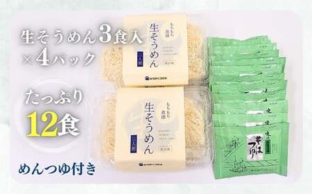 2026年6月～発送／生そうめん 12食 ストレートつゆ付 季節限定 手作り 麺 冷凍 黄金製麺所 C0532 岩手県 北上市