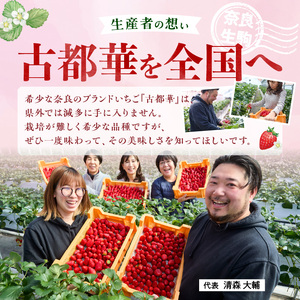 【2027年2月～3月発送】完熟「古都華」奈良ブランドいちご3L～Mサイズ2パック　先行予約 ことか 甘い 糖度 濃い 濃厚 果汁 香り 朝摘み いちご イチゴ 苺 フルーツ 果物 くだもの ご褒美 ごほうび 贈答 贈り物 ギフト プレゼント 冷蔵 奈良県 生駒市 送料無料
