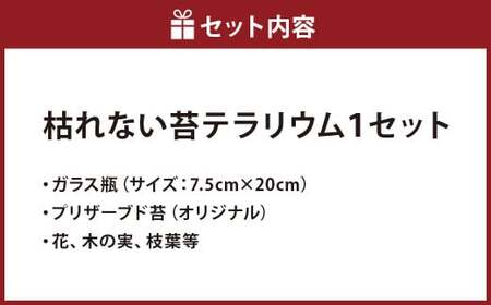 【さとリウムR】プリザーブド加工のテラリウム なごみ（五重の塔） 1セット ｜テラリウム ガラスドーム 苔 こけ コケ 植物 鑑賞用 インテリア 水やり不要