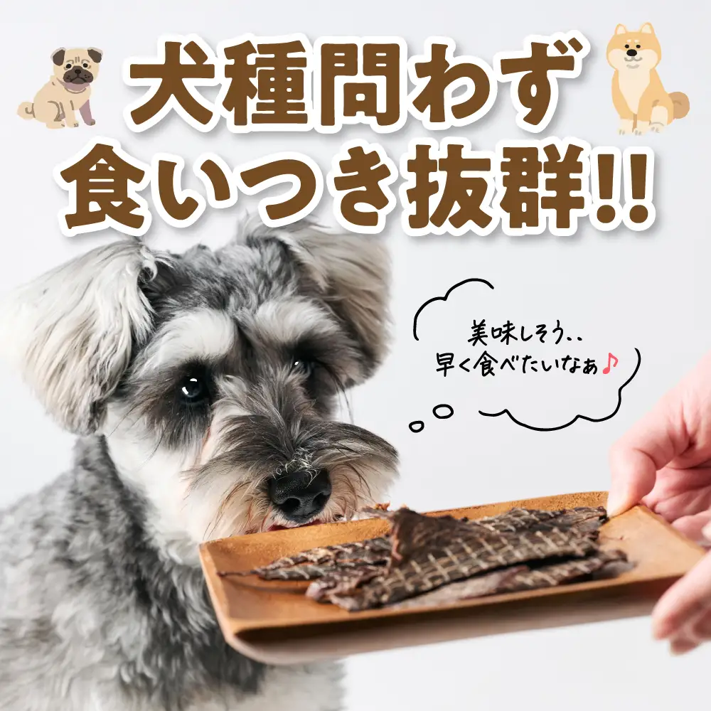 ペット用 馬刺しジャーキー100g  馬肉 ペットフード 愛犬 ドッグフード おやつ 食事 ごはん