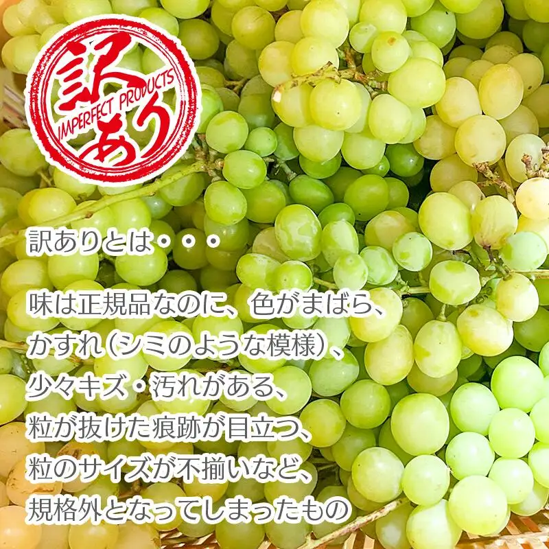 【クール配送】訳あり シャインマスカット 2～4房（約1kg）【2026年発送】（KFT）A08-1810 シャインマスカット フルーツ