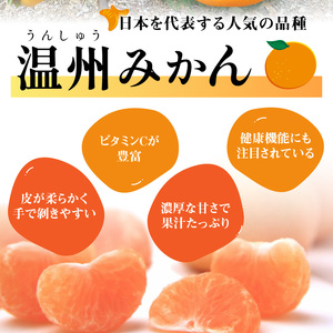 【1171-2】「濃厚な味のとろける美味しさ」温州みかん 2.5kg《先行予約》
