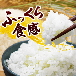 【令和8年度産米】【新米先行予約】【数量限定】忍野村産コシヒカリ（10kg）