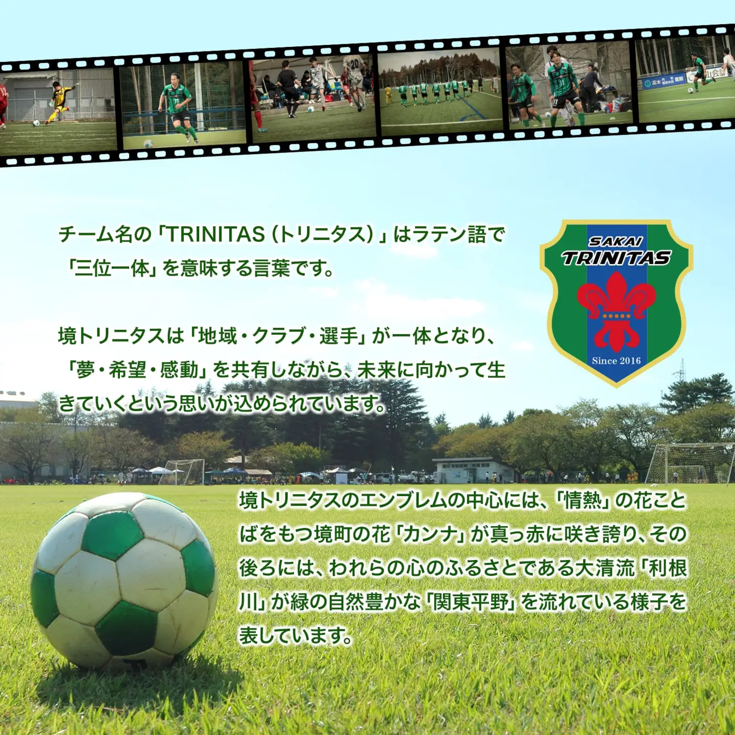 【5日以内発送】境トリニタス応援ボックスティッシュ 200組×60箱 K2565
