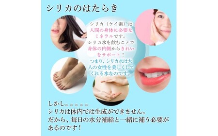 理想のシリカ 500ml × 48本