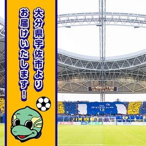 大分トリニータ ホームゲームツアー＆プレミアム観戦体験 (2F特別室1室確保・最大8名) Jリーグ サッカー trinita 体験 チケット 観戦チケット【116300600】【大分フットボールクラブ】
