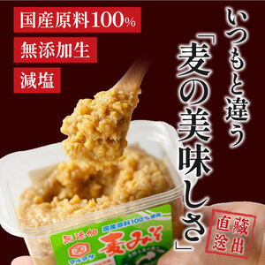マルマサ醤油 麦 みそ 味噌 750g ×4 味噌 みそ