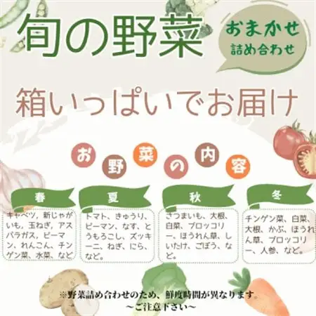 かすみがうら市産 旬の野菜おまかせセット 7～9種(2～3名様分)_野菜   _【配送不可地域：離島】【1604066】