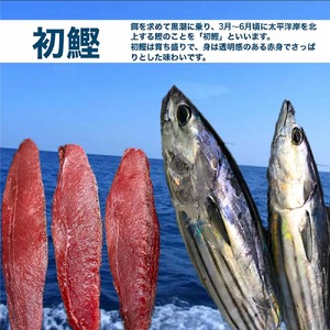★数量限定★≪ヤマシン≫ 初鰹のわら焼きタタキ 1節 ※新にんにく1玉付き※