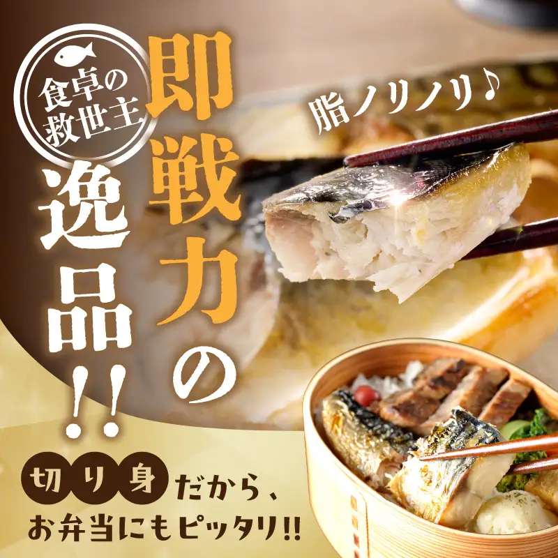 【訳あり】骨取り 塩さば切り身(600gx2袋)【A2-152】