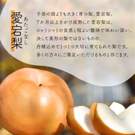あたご梨 ご家庭用/約5kg (岡山県産) 愛宕梨好きにはたまらない満足便!【1566274】