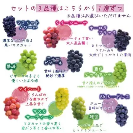 岡山　花笑み農園の『食べ比べ4種』シャイン入り　優品　2kg(4房)4M-2優【配送不可地域：離島・北海道・沖縄県】【1593520】
