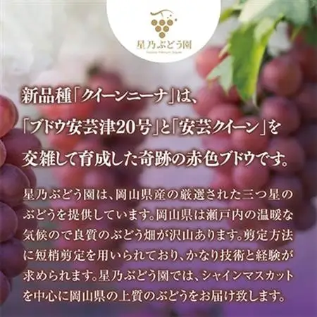 先行受付【三つ星ブランド】星乃クイーンニーナ 数量限定 3房～5房(1.7kg以上)【配送不可地域：離島・北海道・沖縄県】【1601634】