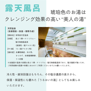 泉天空の湯 有明ガーデン　全日入館券 【kt014-002-2】 天然温泉 ｻｳﾅ お風呂 入館券 ﾁｹｯﾄ 旅行