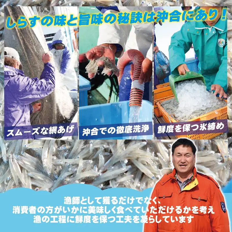 減塩 釜揚げしらす 600g
