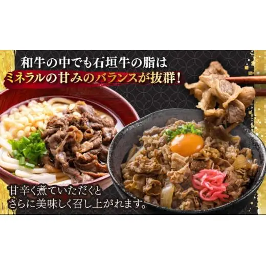切り落としスライス300g　 IM-34