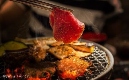 但馬牛 神戸牛焼肉用 赤身 500g 冷凍 牛肉 72-11