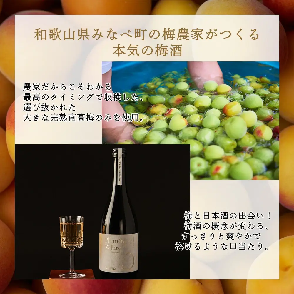 熟成南高梅酒「Plumity Black」720ml　 armtnou001A【armtnou001A】