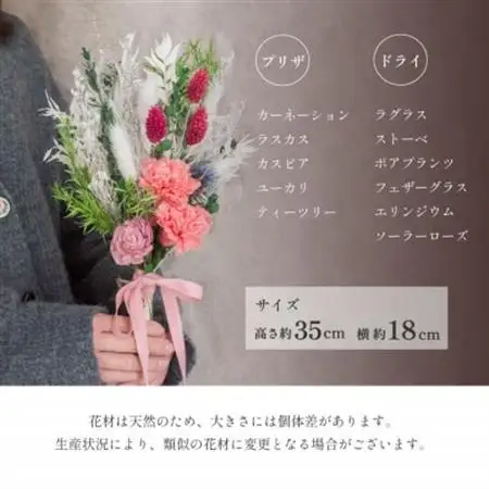 カーネーションスワッグ ピンク プリザーブドフラワー 母の日 壁掛け【1603934】