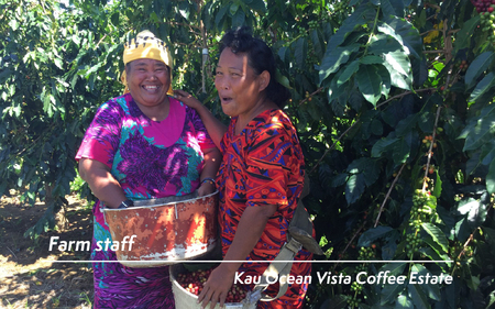 ハワイ カウコーヒー焙煎豆200g 0131-001-S06