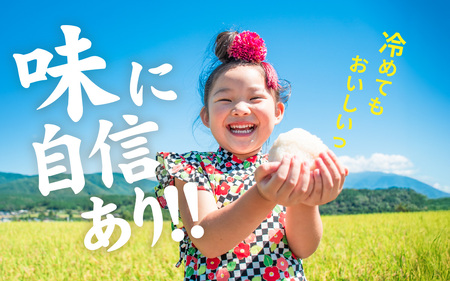 令和7年産 福井市産 コシヒカリ 5kg 無洗米 / 天然の山水で育てたお米【みやま米】 [A-168004]  / 5キロ 5kg 米 こめ コメ お米 こしひかり 福井県 福井市 令和7年 7年産 七年