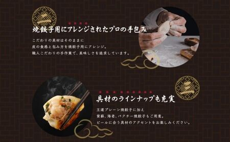 巣鴨餃子 焼餃子としそ焼餃子 の組み合わせ 各2袋 48個 餃子 ぎょうざ ギョーザ セット 食べ比べ 冷凍 焼き餃子 おかず おつまみ お取り寄せ 豊島区 東京都