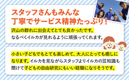 南島原 貸切 イルカウォッチング / チケット ちけっと 体験型 観光チケット いるか イルカ イルカ体験 貸し切り いるか イルカ / 南島原市 / 南島原イルカウォッチング [SAE007]