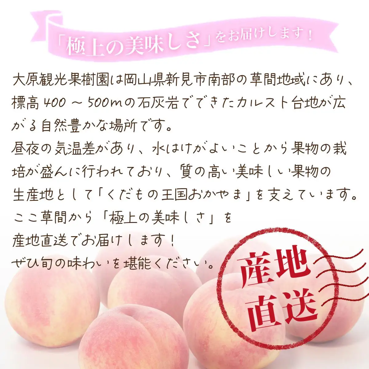 【2026年先行予約】白桃 1箱（約2kg 6玉）桃 もも モモ はくとう フルーツ 【026-a019】