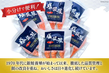 鮭 切り身 塩銀鮭パック 3切 ×6袋 計18切 [たみこの海パック 宮城県 南三陸町 m304amh560066]