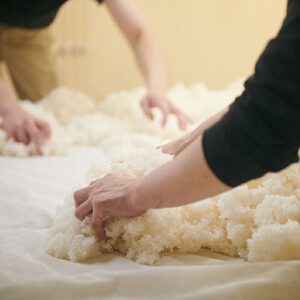 ヤマサン正宗　生酒尽くし