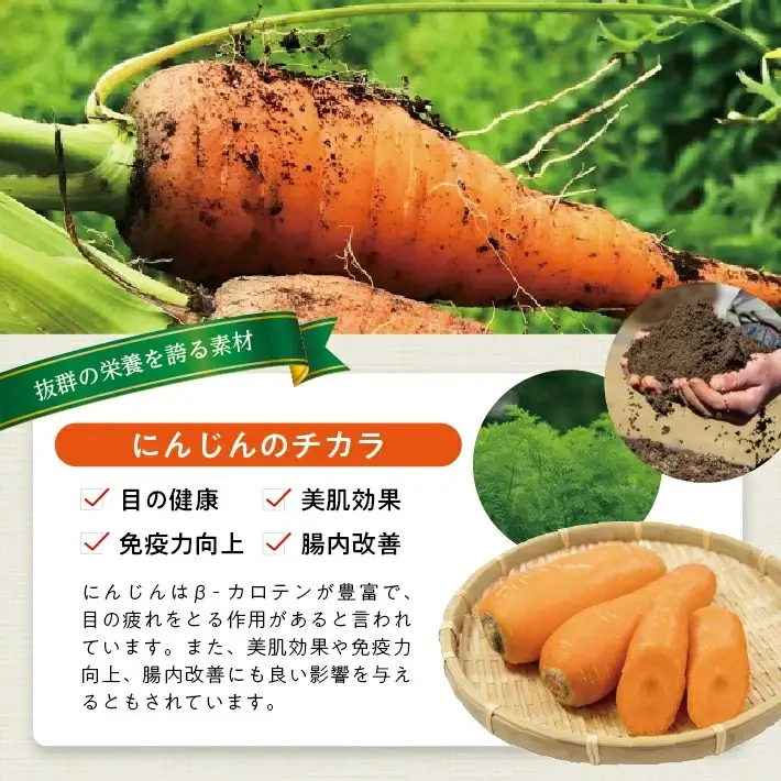 冷凍にんじんペースト1.0kg(500g×2袋) 冷凍便 ※離島発送不可 冷凍 にんじん ニンジン 人参 野菜 野菜ペースト 離乳食 介護食 小分け お菓子作り ゆざ食彩工房 遊佐町 庄内 東北 [1429NN1000G]