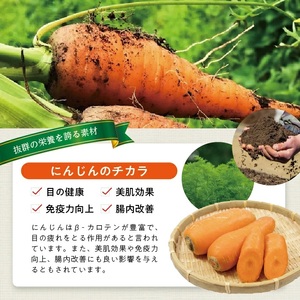 冷凍にんじんペースト1.5kg(500g×3袋) 冷凍便 ※離島発送不可 冷凍 にんじん ニンジン 人参 野菜 野菜ペースト 離乳食 介護食 小分け お菓子作り ゆざ食彩工房 遊佐町 庄内 東北 [1429NN1500G]