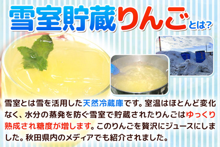 雪室貯蔵りんごを使用した贅沢ふじりんごジュース 20袋