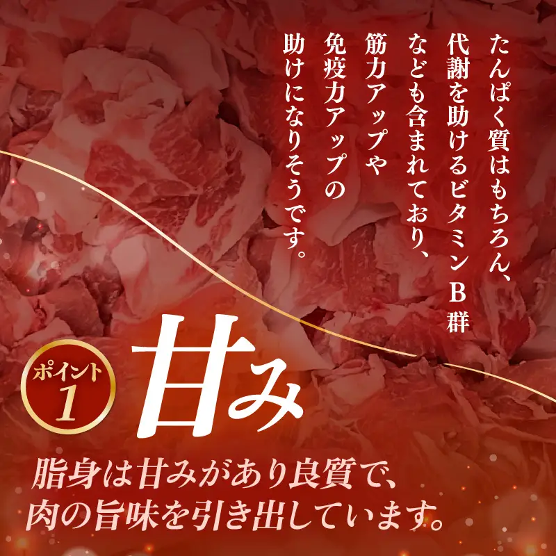 【定期便】ブランド豚定期便 3回 ふくいポーク 切落し 豚肉 冷凍  [e02-b024]