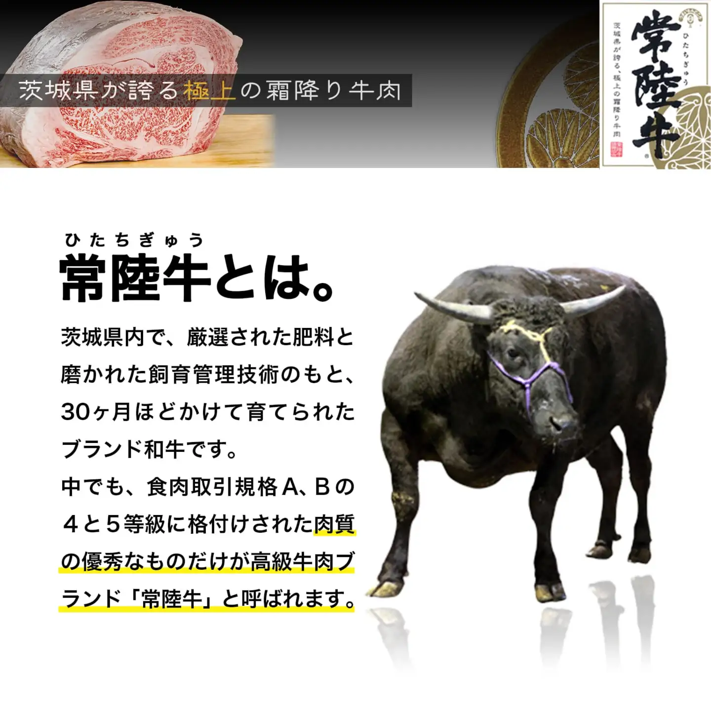 K2549 【茨城県共通返礼品】WO-29Butchers 常陸牛 ヒレステーキ 300g