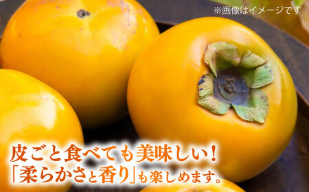 【先行予約】太秋柿 約2kg 柿 カキ フルーツ 果物 秋 【日本フルーツ株式会社】 [ZFJ021]