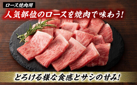 【6回定期便】くまもと黒毛和牛「藤彩牛」厳選3種の食べ比べ計700g 3902【有限会社 スイートサプライなかぞの】[ZDT136]