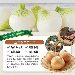 冷凍玉ねぎペースト1.5kg(500g×3袋) 冷凍便 ※離島発送不可 冷凍 たまねぎ 玉ねぎ 玉葱 野菜 野菜ペースト 離乳食 介護食 小分け ゆざ食彩工房 遊佐町 庄内 東北 [1432TN1500G]
