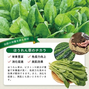 冷凍ほうれん草ペースト2.0kg(500g×4袋) 山形県遊佐産 冷凍便 ※離島発送不可 冷凍 ほうれん草 ほうれんそう ホウレンソウ 野菜 野菜ペースト 離乳食 介護食 お菓子作り 小分け ゆざ食彩工房 遊佐町 庄内 東北 [1434HO2000G]
