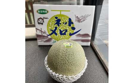 【倉吉産】メロンセット ディーバ / プリモレッド （2玉入り）果物 フルーツ メロン