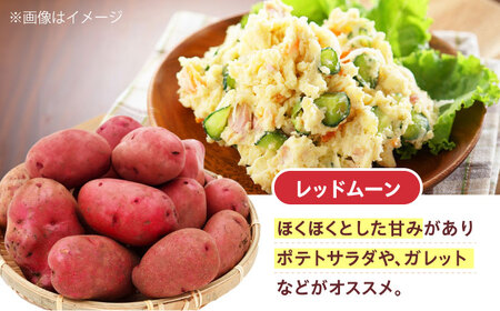 常備野菜セット（6月頃発送予定） たまねぎ ジャガイモ [AOCS025]